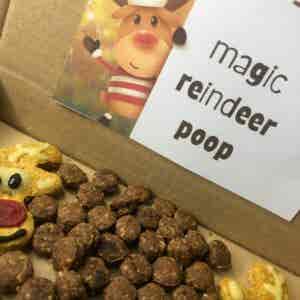 Magic Reindeer Poop