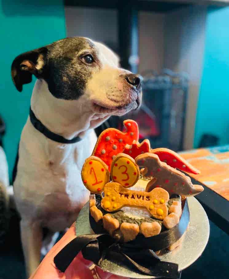 Dinosaur Theme Cake - Image 3