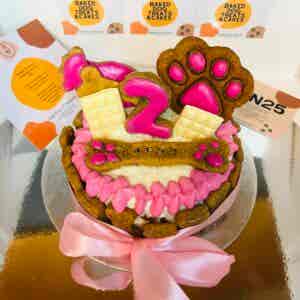 Paw & Choc Cake